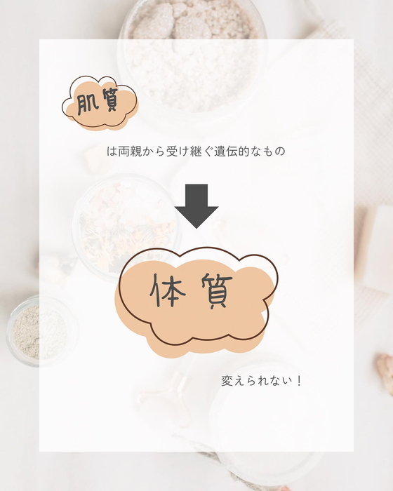 画像461